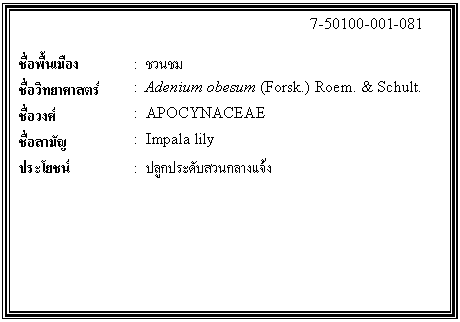 กล่องข้อความ: 7-50100-001-081 ชื่อพื้นเมือง : ชวนชม ชื่อวิทยาศาสตร์ : Adenium obesum (Forsk.) Roem. & Schult. ชื่อวงศ์ : APOCYNACEAE ชื่อสามัญ : Impala lily ประโยชน์ : ปลูกประดับสวนกลางแจ้ง